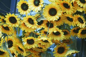 Yellow artificial sunflower flowers. Decorative decoration of the entrance with flowers. Composition element. photo