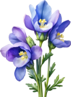 AI generated Watercolor painting of Aconite flower. png