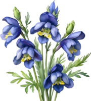 AI generated Watercolor painting of Aconite flower. png