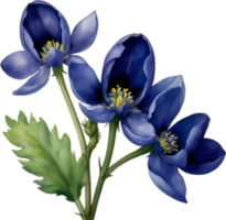 AI generated Watercolor painting of Aconite flower. png