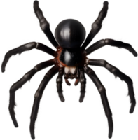 AI generated Colorful and elegant Spider image. png