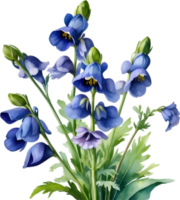 AI generated Watercolor painting of Aconite flower. png