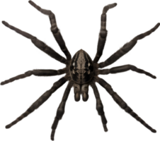 AI generated Colorful and elegant Spider image. png