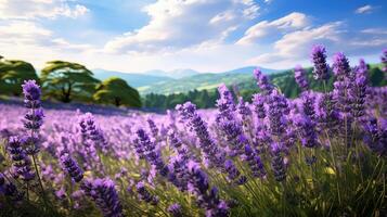 ai generado púrpura lavanda paleta flores ai generado foto