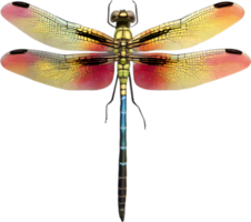 AI generated Colorful and elegant dragonfly image. png