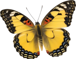 AI generated Colorful and elegant butterfly image. png