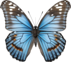 AI generated Colorful and elegant butterfly image. png