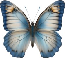 AI generated Colorful and elegant butterfly image. png