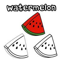 learn to color and connect watermelon fruit lines for children vector