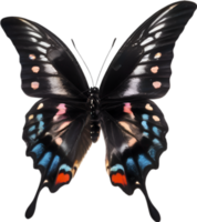 AI generated Colorful and elegant butterfly image. png