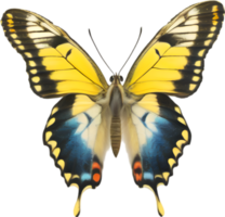 AI generated Colorful and elegant butterfly image. png