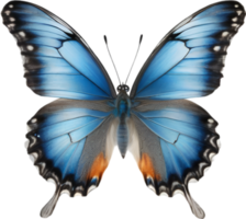 AI generated Colorful and elegant butterfly image. png