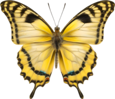 AI generated Colorful and elegant butterfly image. png