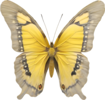 AI generated Colorful and elegant butterfly image. png