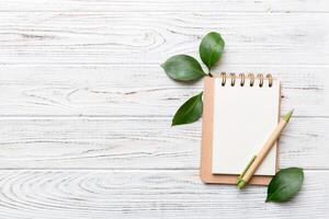 eco-friendly Empty notebook with pen and green leaf on Colored background for note photo