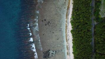 maldiverna öar kustlinje, hav och tropisk strand med palmer träd. antenn se video