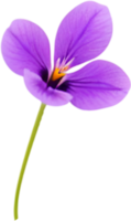 ai generiert violett Clip Art. ein süß violett Blume Symbol. png