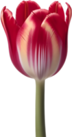 ai généré tulipe clipart. une mignonne tulipe fleur icône. png