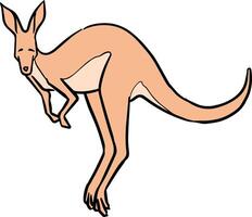 Hand drawn jumping kangaroo color vector illustration