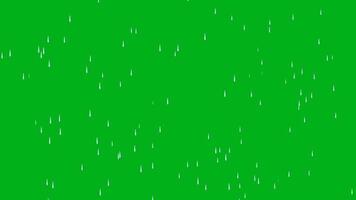 animación de lluvia que cae con verde pantalla video