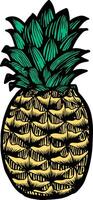 Pineapple hand drawn illustration color vector illustration