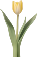 ai generado tulipán clipart. un linda tulipán flor icono. png