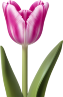 AI generated Tulip clipart. A cute Tulip flower icon. png