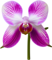 ai generato orchidea clipart. un' carino orchidea fiore icona. png