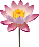 ai généré lotus clipart. une mignonne lotus fleur icône. png