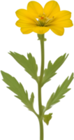 ai gegenereerd sleutelbloem clip art. een schattig sleutelbloem bloem icoon. png