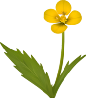 ai gerado prímula clipart. uma fofa prímula flor ícone. png