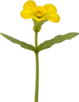 ai gerado prímula clipart. uma fofa prímula flor ícone. png