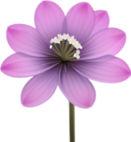 AI generated Hepatica Americana clipart. A cute Hepatica Americana flower icon. png