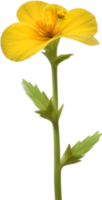 ai generiert Primel Clip Art. ein süß Primel Blume Symbol. png