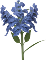 ai gerado delfínio clipart. uma fofa delfínio flor ícone. png