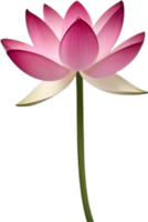 ai generiert Lotus Clip Art. ein süß Lotus Blume Symbol. png