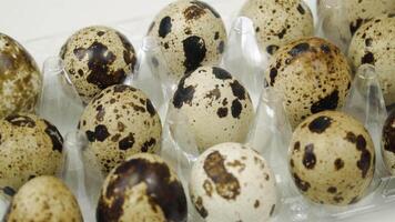 Quail eggs in turn top view. Raw eggs in a tray video