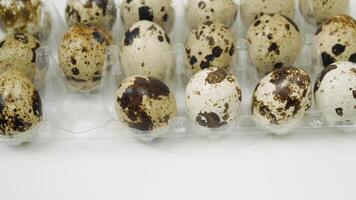 Hand changes the broken quail egg to the whole egg on platform - close up. Lots of fresh quail raw eggs video