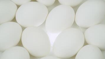 Raw eggs on a white backlit platform. White chicken eggs in turn top view video