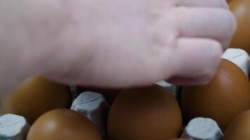 Hand changes the broken egg to the whole egg on platform - close up. Lots of fresh chicken raw eggs video