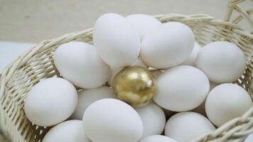 Raw white eggs and alone golden egg in a rotating basket. White chicken eggs in turn top view video