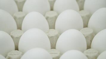 blanc poulet des œufs dans tour côté voir. brut des œufs dans une plateau video