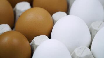 Lots of brown and white eggs is spinning. Fresh chicken raw eggs in rows video