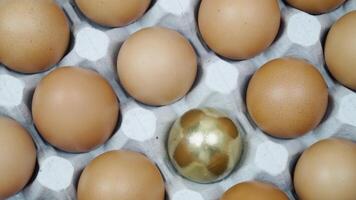 Many brown chicken eggs and one golden egg in turn top view. Raw eggs in a tray video