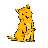 Hand drawn domestic cat. Animal color illustration. vector