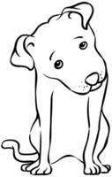 Hand drawn dog. Tilting head. Animal color illustration. vector