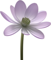 AI generated Hepatica Americana clipart. A cute Hepatica Americana flower icon. png