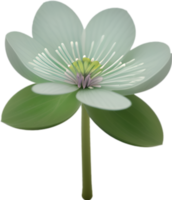 AI generated Hepatica Americana clipart. A cute Hepatica Americana flower icon. png
