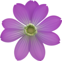 AI generated Hepatica Americana clipart. A cute Hepatica Americana flower icon. png