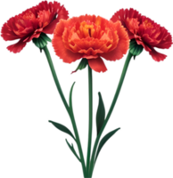 ai generado clavel clipart. un linda clavel flor icono. png